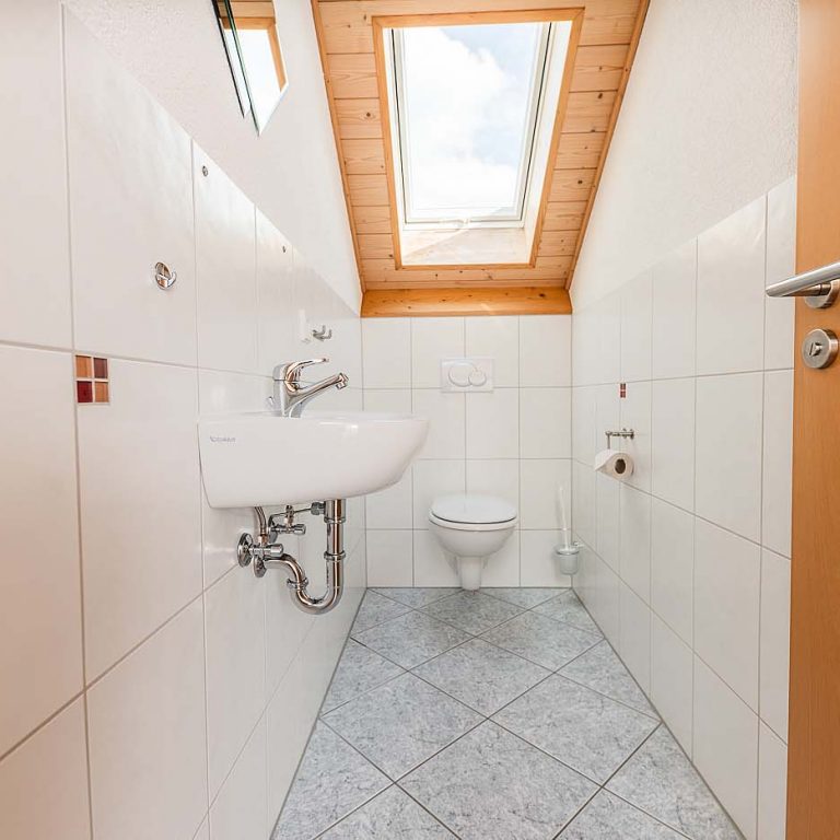 Toilette mit Waschbecken und Dachfenster