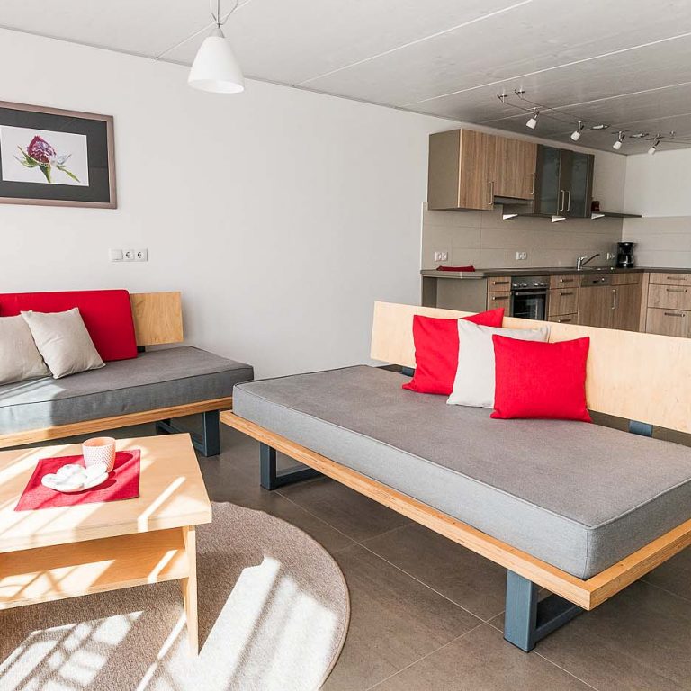 Wohnbereich mit Sofas und Küchenbereich