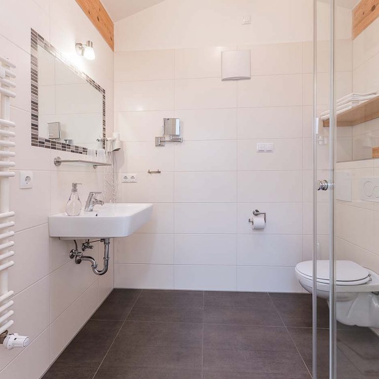 Badezimmer mit Dusche in der Stadelwohnung